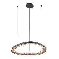 Дополнительная картинка Подвесной светильник Arte Lamp CINTA A1847SP-46BK