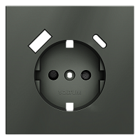 Накладка для розетки с заземлением и защитными шторками, с USB A+C, S70 (титан) 