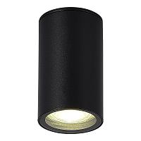 SL9010.412.01 Светильник уличный потолочный ST-Luce TUBO