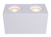 Дополнительная картинка Потолочный светильник Technical C013CL-02W