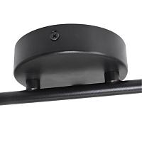 Потолочный светильник Arte Lamp IMAI A2365PL-2BK