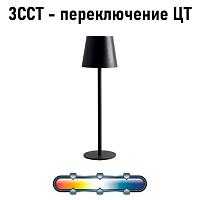 Дополнительная картинка Настольный светильник FUYUE Arte Lamp A1614LT-1BK