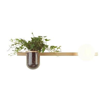 Для растений Настенный светильник Odeon Light Walli Flower 4682/1WA, доставка по Казахстану 