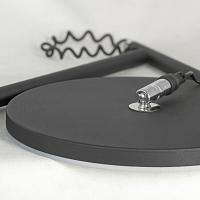 Дополнительная картинка Торшер Lussole LSP-0901