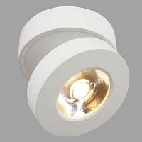 Дополнительная картинка Спот Maytoni Alivar C022CL-L7W