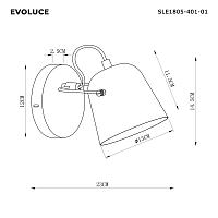 Дополнительная картинка Evoluce SLE1805-401-01 Светильник настенный Blank