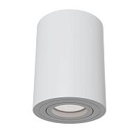 Потолочный светильник Maytoni Alfa C016CL-01W купить в Алматы svet.kz