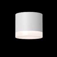 Дополнительная картинка Потолочный светильник Technical C087CL-GX53-W