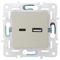 SKANDY Роз. USB A+C 3,1А SK-R14B беж. IEK 