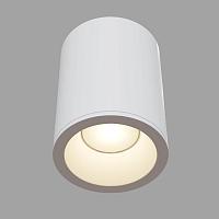Потолочный светильник Maytoni Antares C029CL-01W купить в Алматы svet.kz