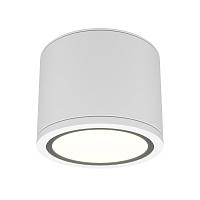Дополнительная картинка Потолочный светильник Technical C095CL-GX53-W