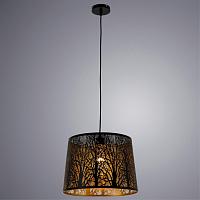 Дополнительная картинка Подвесной светильник Arte Lamp Celesta A2769SP-1BK