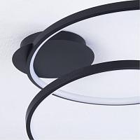 Дополнительная картинка Потолочный светильник Arte Lamp MILLO A3893PL-30BK