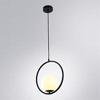 Дополнительная картинка Подвесной светильник Arte Lamp MATISSE A7741SP-1BK
