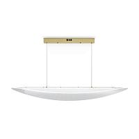 Дополнительная картинка Подвесной светильник Freya FR5441PL-L40G