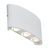 Уличный настенный светодиодный светильник ST Luce Bisello SL089.501.06 светильники