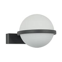 Настенный светильник Ringar 4502-1W