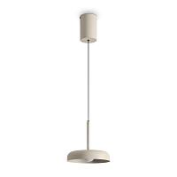 Дополнительная картинка Подвесной светильник Freya FR5602PL-L5W Movement