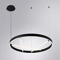 Дополнительная картинка Подвесной светильник Arte Lamp RICCO A1874SP-45BK