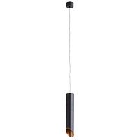 Дополнительная картинка Подвесной светильник Arte Lamp Pilon-Gold A1536SP-1BK