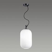 Дополнительная картинка Подвесной светильник Odeon Light Pendant Roofi 4751/1