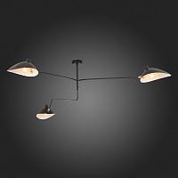 Дополнительная картинка Потолочная люстра ST Luce Spruzzo SL305.402.03
