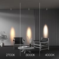Дополнительная картинка Потолочный светильник Technical C055CL-L12W4K-SS-W FOCUS LED