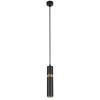 Дополнительная картинка Подвесной светильник Arte Lamp RAN A3145SP-1BK
