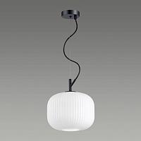 Дополнительная картинка Подвесной светильник Odeon Light Pendant Roofi 4753/1