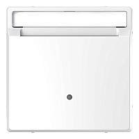 Выключатель карточный Schneider Electric Merten D-Life MTN3854-6035 