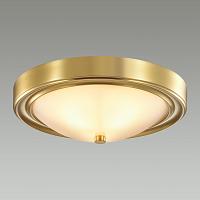 Дополнительная картинка Настенно-потолочный светильник Lumion Vintage Nina 5259/2C