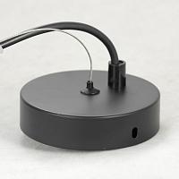 Дополнительная картинка Подвесной светильник Lussole Bullock LSP-8408