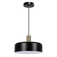 подвесной светильник arte lamp skat a7052sp-1bk, доставка по Казахстану 