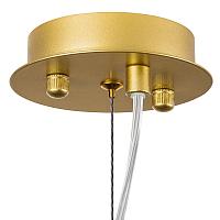Дополнительная картинка Подвесной светильник Lightstar Savona 816022
