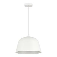evoluce sle1805-503-01 светильник подвесной blank, доставка по Казахстану 
