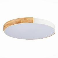 Дополнительная картинка Потолочный сетодиодный светильник Evoluce Delia SLE201352-01