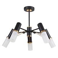 Дополнительная картинка Потолочная люстра F-Promo Viator 2558-5P