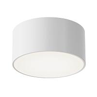 Дополнительная картинка Потолочный светильник Outdoor O430CL-L15W4K