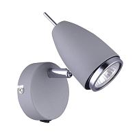 Настенный светильник Arte Lamp Regista A1966AP-1GY