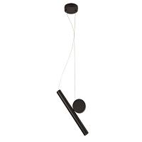 Дополнительная картинка Подвесной светильник Arte Lamp BEEMIM A2090SP-1BK