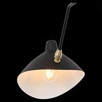 Дополнительная картинка Потолочная люстра ST Luce Spruzzo SL305.402.03