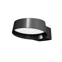 Дополнительная картинка Настенный светильник Outdoor O443WL-L12GF3K