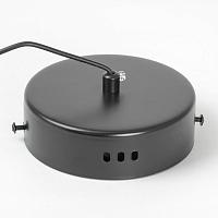 Дополнительная картинка Подвесной светильник Lussole LSP-7140