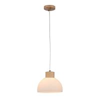 Дополнительная картинка Подвесной светильник Arte Lamp CAPRICE A4184SP-1BR
