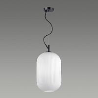 Дополнительная картинка Подвесной светильник Odeon Light Pendant Roofi 4752/1