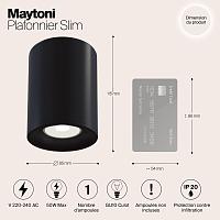 Дополнительная картинка Потолочный светильник Maytoni Alfa C012CL-01B