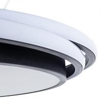 Дополнительная картинка Потолочный светодиодный светильник Arte Lamp Sonny A2688PL-1BK