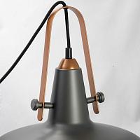 Дополнительная картинка Подвесной светильник Lussole Loft LSP-9814