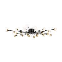 Дополнительная картинка Потолочная люстра Freya FR5242CL-24B