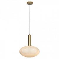 Дополнительная картинка Подвесной светильник Lussole Loft Ondulati LSP-8353